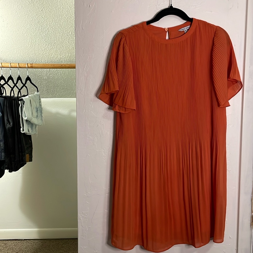 Naked Zebra Brand Dress